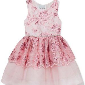 Rare Editions little girls floral embroidered mesh